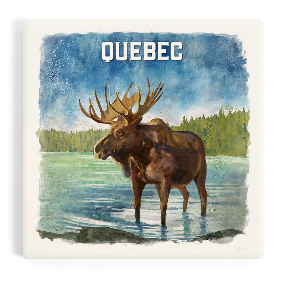 Quebec, Watercolor Study, Moose, Coasters Coasters Lantern Press 