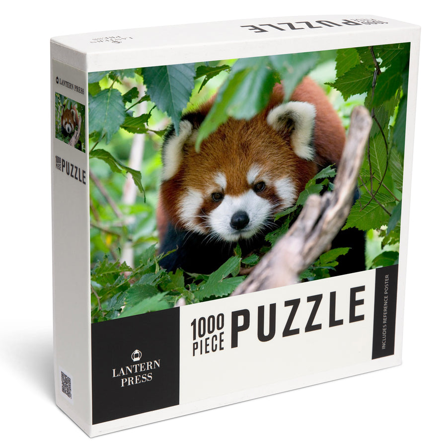 Red Panda, Jigsaw Puzzle Puzzle Lantern Press 