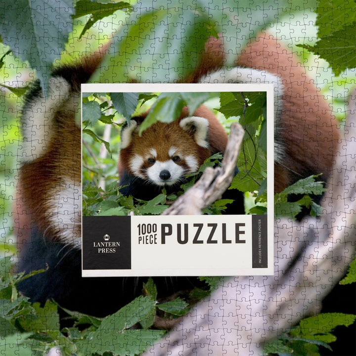 Red Panda, Jigsaw Puzzle Puzzle Lantern Press 