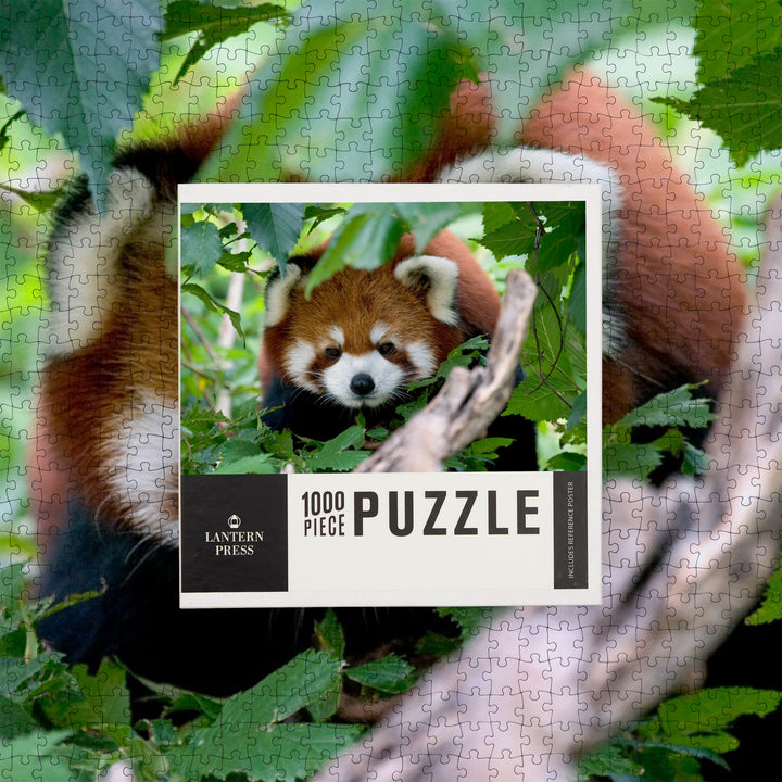 Red Panda, Jigsaw Puzzle Puzzle Lantern Press 