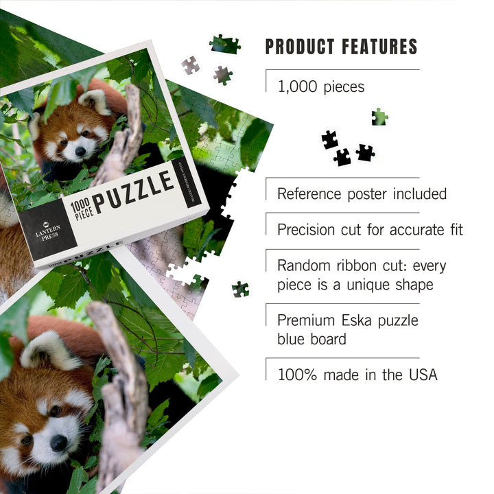 Red Panda, Jigsaw Puzzle Puzzle Lantern Press 