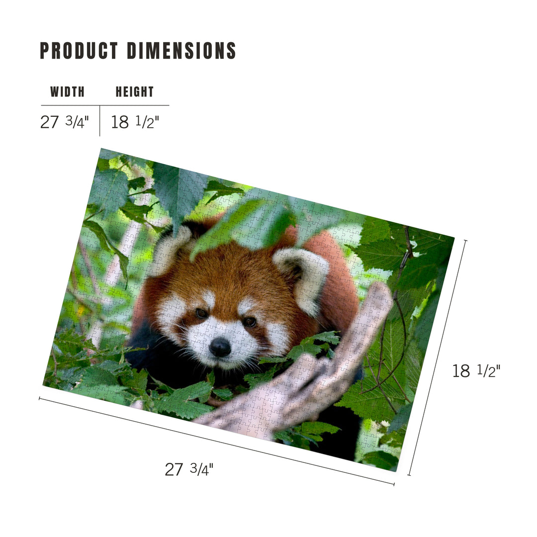 Red Panda, Jigsaw Puzzle Puzzle Lantern Press 