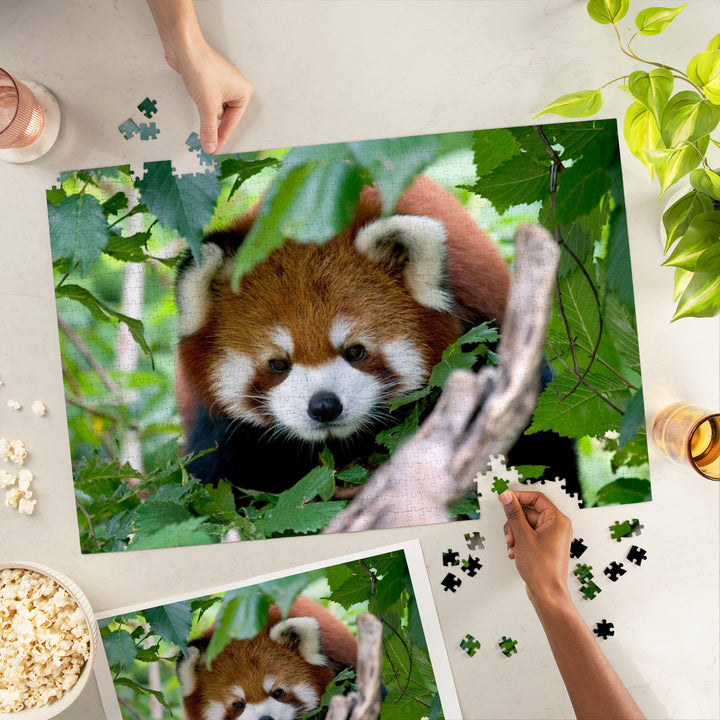 Red Panda, Jigsaw Puzzle Puzzle Lantern Press 