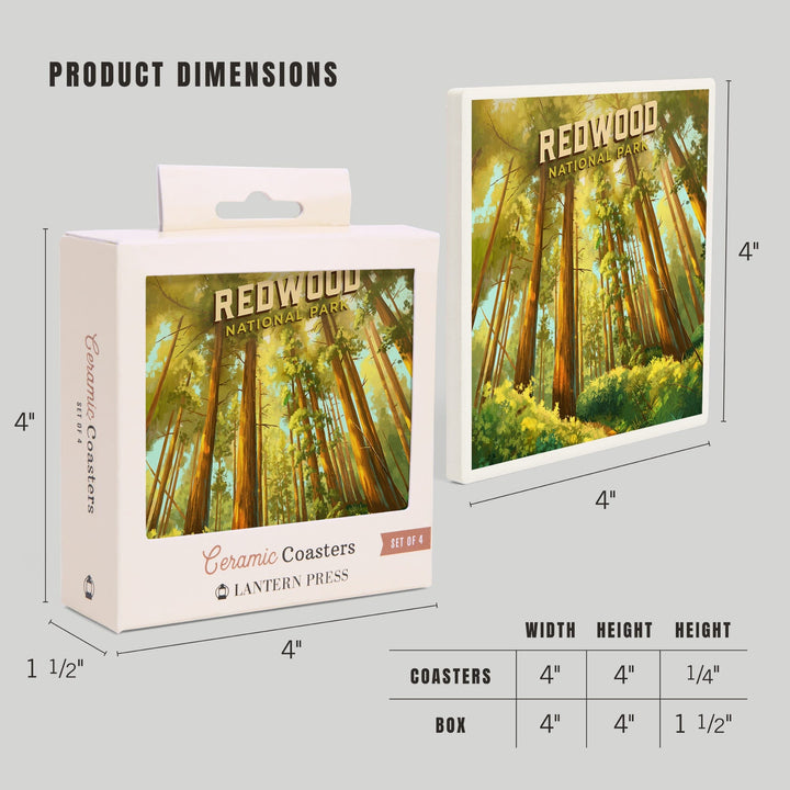 Redwood National and State Parks, California, Oil Painting, Coasters Coasters Lantern Press 