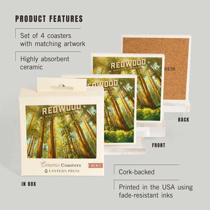 Redwood National and State Parks, California, Oil Painting, Coasters Coasters Lantern Press 