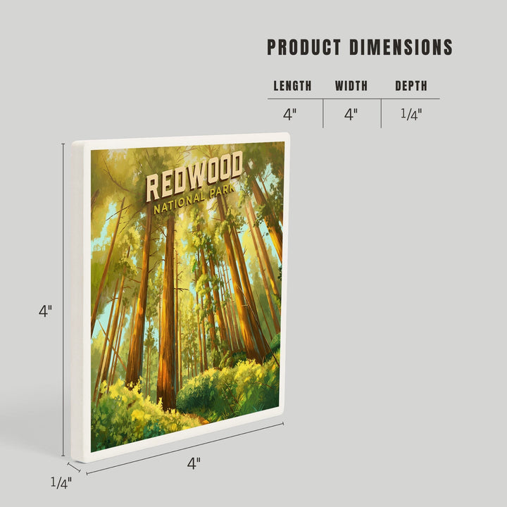 Redwood National and State Parks, California, Oil Painting, Coasters Coasters Lantern Press 