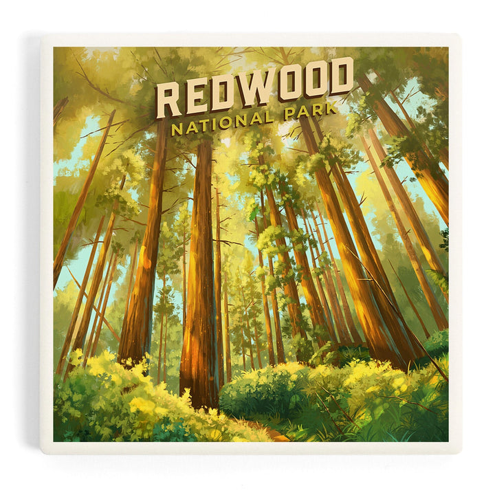Redwood National and State Parks, California, Oil Painting, Coasters Coasters Lantern Press 