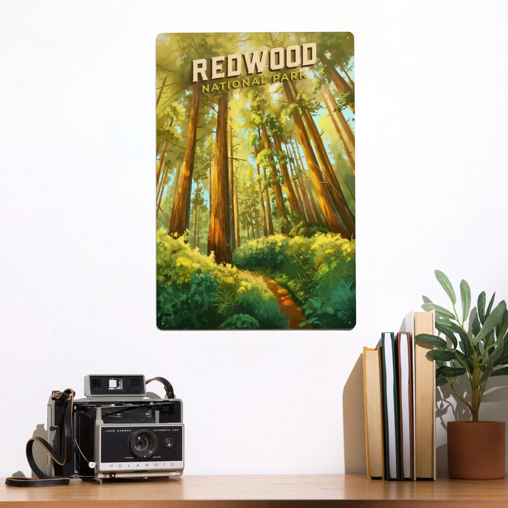 Redwood National and State Parks, California, Oil Painting, Metal Signs Metal Lantern Press 