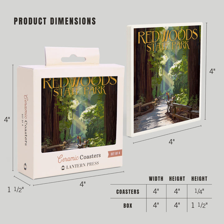 Redwoods Park, California, Pathway in Trees, Coasters Coasters Lantern Press 