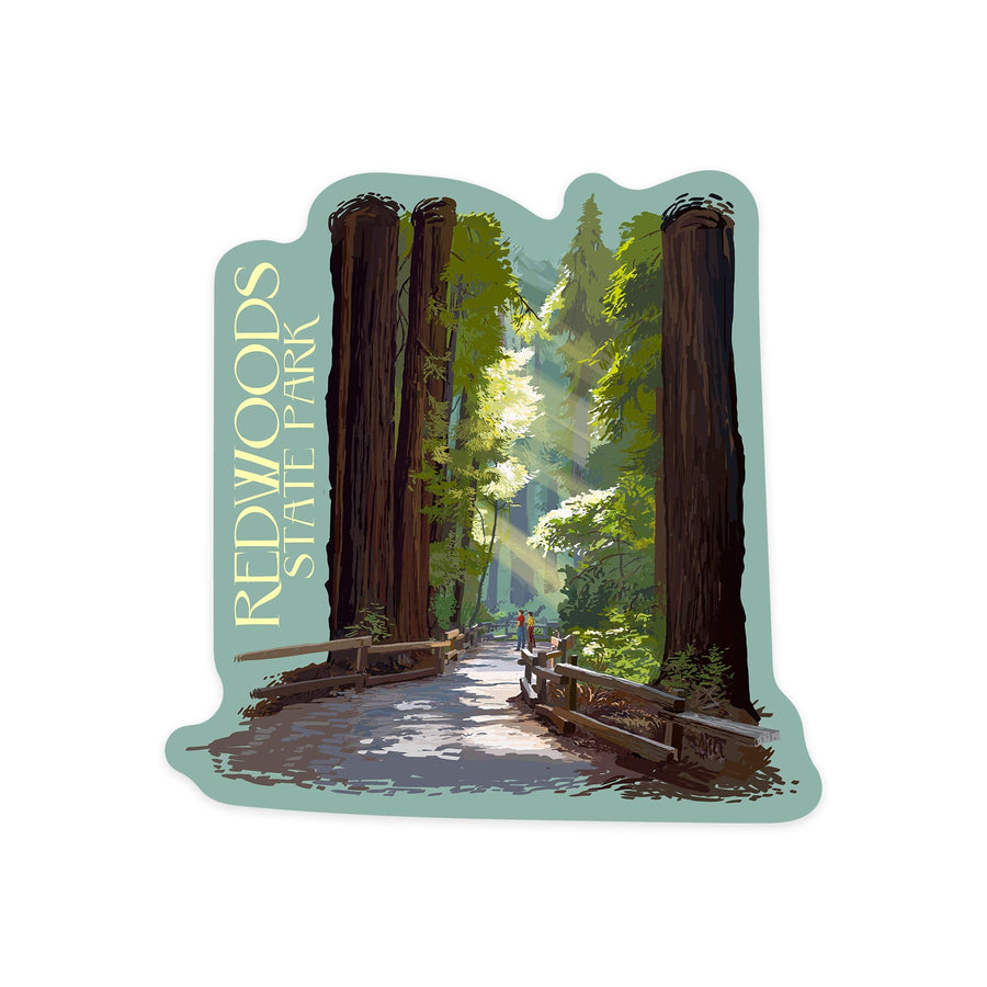 Redwoods State Park, California, Pathway in Trees, Contour, Vinyl Sticker Sticker Lantern Press 