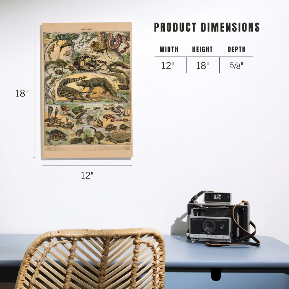 Reptiles, A, Vintage Bookplate, Adolphe Millot Artwork, Wood Signs and Postcards Wood Lantern Press 