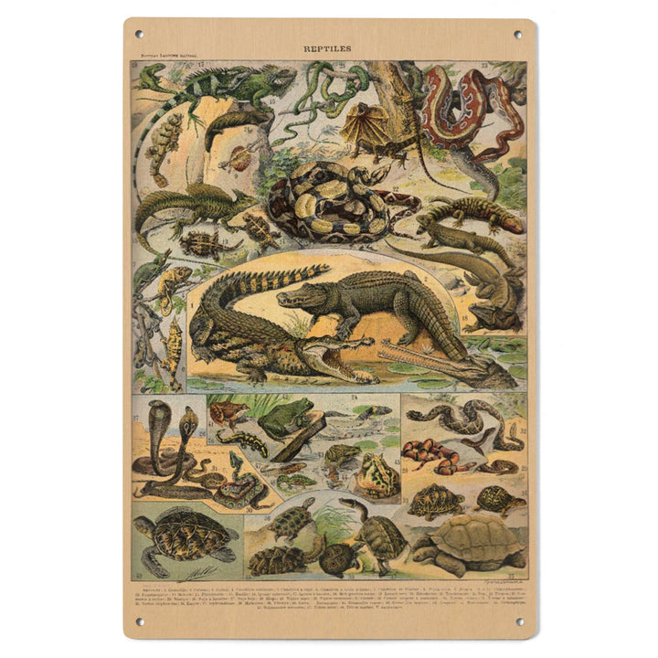 Reptiles, A, Vintage Bookplate, Adolphe Millot Artwork, Wood Signs and Postcards Wood Lantern Press 