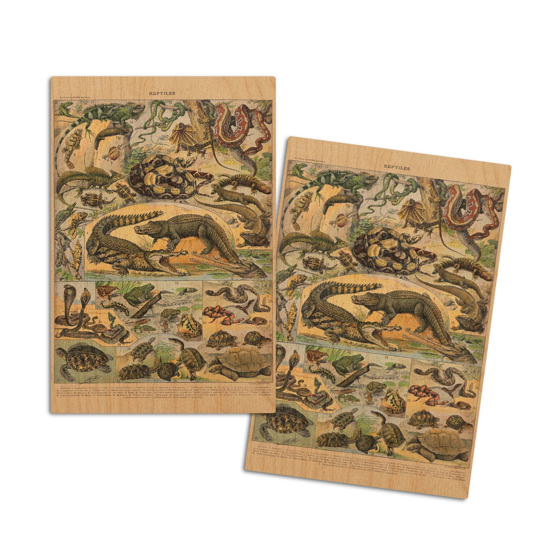 Reptiles, A, Vintage Bookplate, Adolphe Millot Artwork, Wood Signs and Postcards Wood Lantern Press 4x6 Wood Postcard Set 