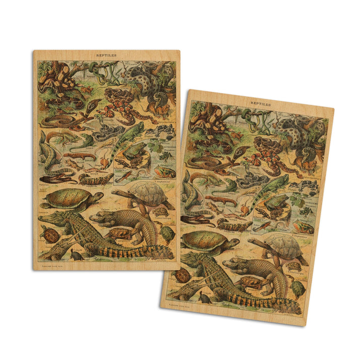 Reptiles, B, Vintage Bookplate, Adolphe Millot Artwork, Wood Signs and Postcards Wood Lantern Press 4x6 Wood Postcard Set 