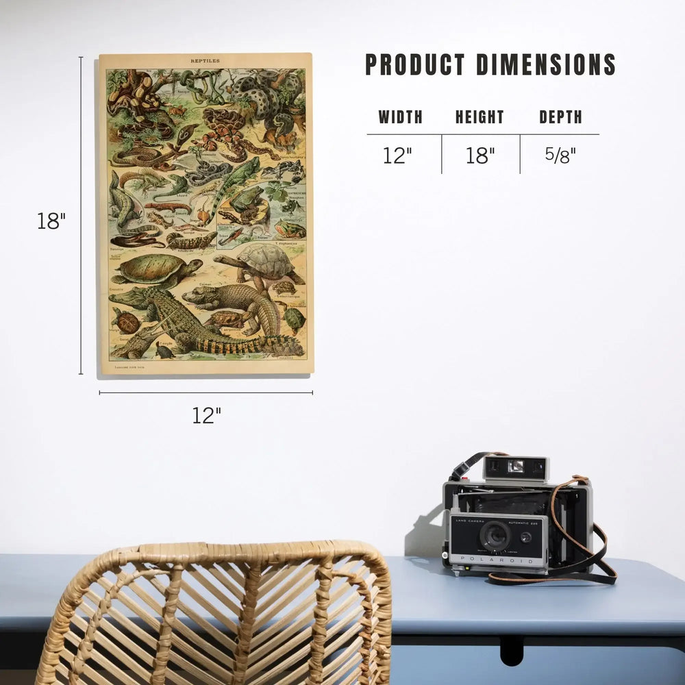 Reptiles, B, Vintage Bookplate, Adolphe Millot Artwork, Wood Signs and Postcards Wood Lantern Press 
