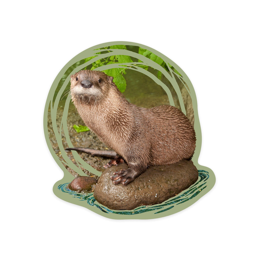 River Otter on Shore, Contour, Lantern Press Photography, Vinyl Sticker Sticker Lantern Press 