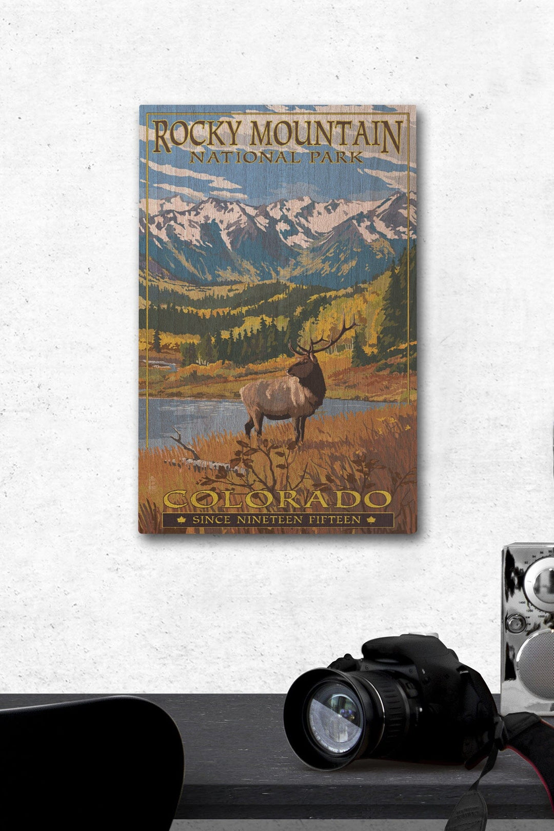 Rocky Mountain National Park, Colorado, Fall and Elk, Lantern Press Artwork, Wood Signs and Postcards Wood Lantern Press 12 x 18 Wood Gallery Print 