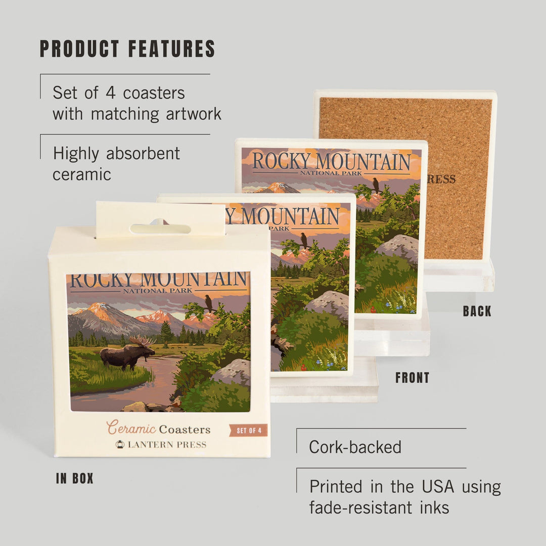 Rocky Mountain National Park, Colorado, Moose & Meadow, Lantern Press Artwork, Coaster Set Coasters Lantern Press 