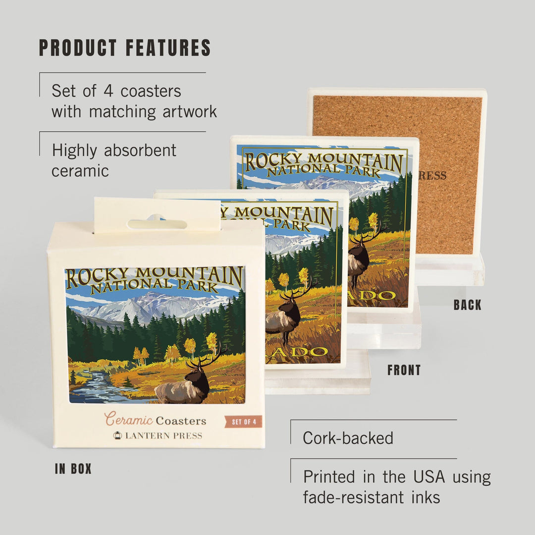 Rocky Mountain National Park, Colorado, Mummy Range, Elk, Coasters Coasters Lantern Press 