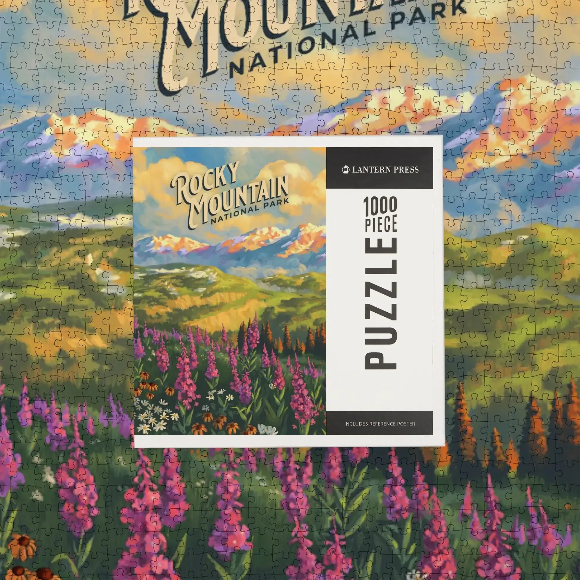Rocky Mountain National Park, Colorado, Oil Painting National Park