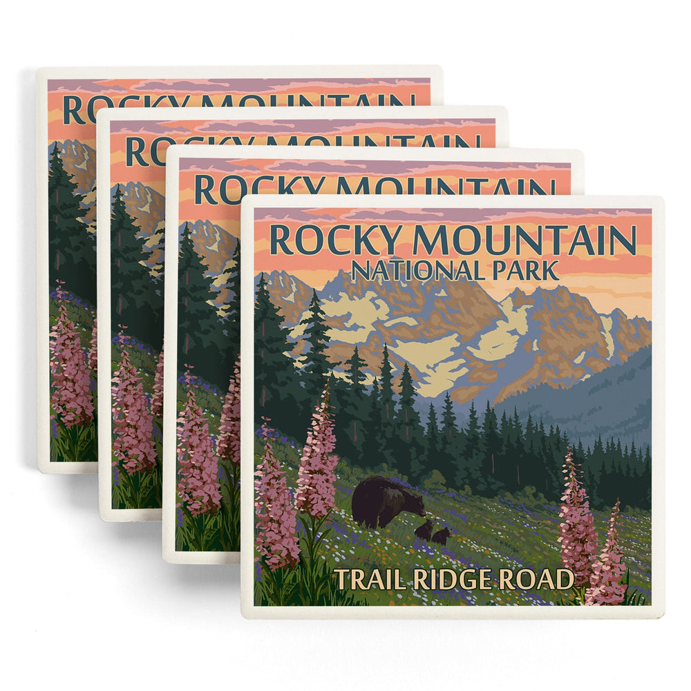 Rocky Mountain National Park, Colorado, Trail Ridge Road, Bear and Spring Flowers, Coasters Coasters Lantern Press 
