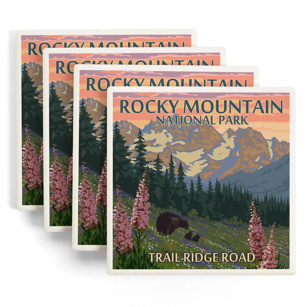 Rocky Mountain National Park, Colorado, Trail Ridge Road, Bear and Spring Flowers, Coasters Coasters Lantern Press 