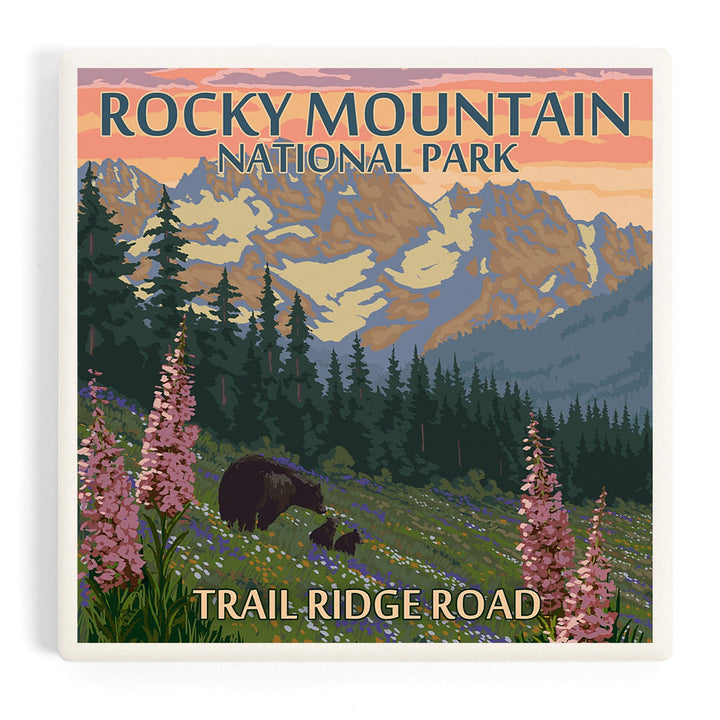 Rocky Mountain National Park, Colorado, Trail Ridge Road, Bear and Spring Flowers, Coasters Coasters Lantern Press 
