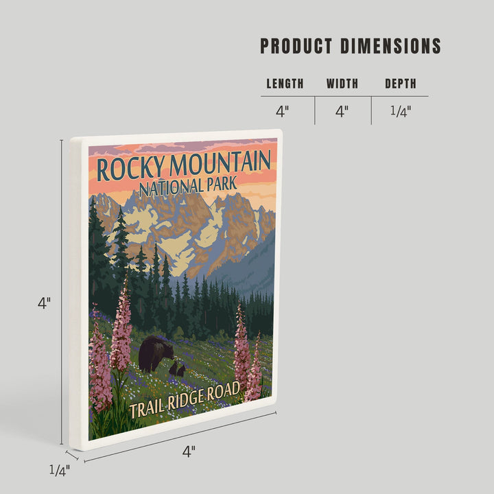Rocky Mountain National Park, Colorado, Trail Ridge Road, Bear and Spring Flowers, Coasters Coasters Lantern Press 