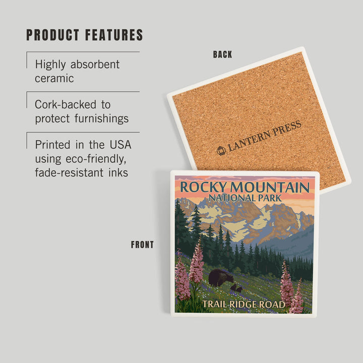 Rocky Mountain National Park, Colorado, Trail Ridge Road, Bear and Spring Flowers, Coasters Coasters Lantern Press 