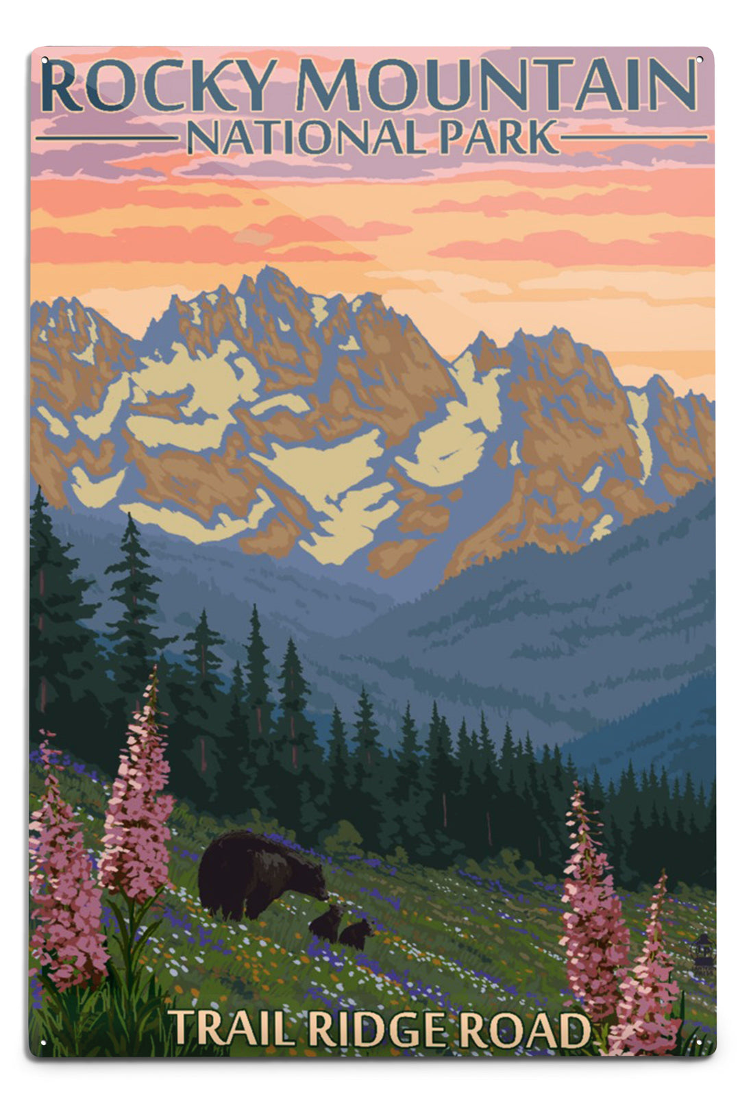 Rocky Mountain National Park, Colorado, Trail Ridge Road, Bear and Spring Flowers, Metal Signs Metal Lantern Press 12x18 Metal Sign 