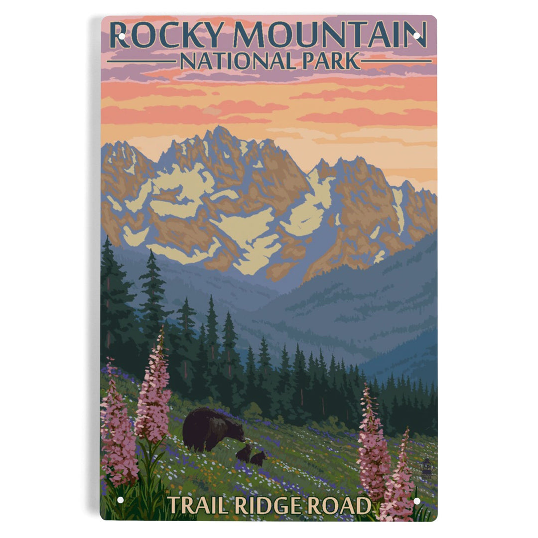 Rocky Mountain National Park, Colorado, Trail Ridge Road, Bear and Spring Flowers, Metal Signs Metal Lantern Press 