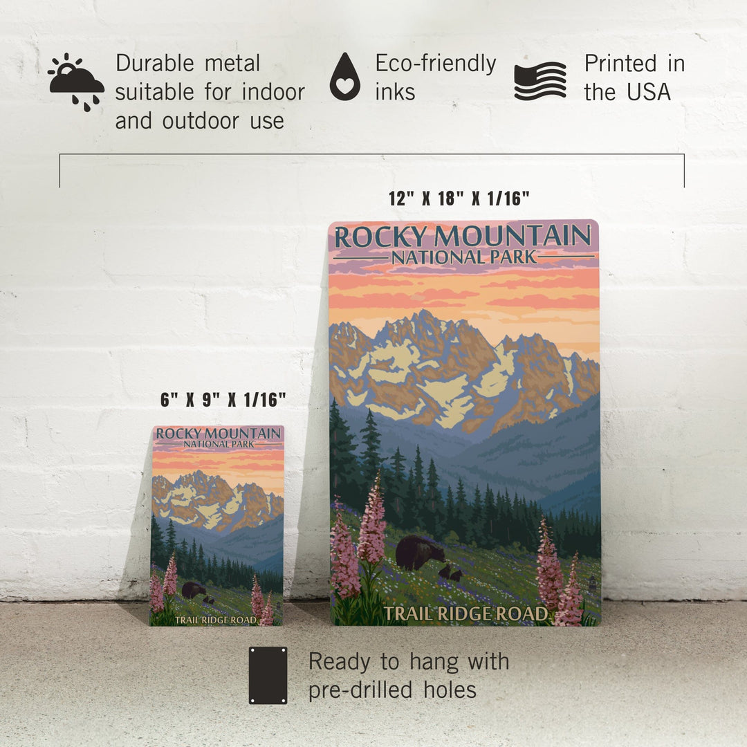 Rocky Mountain National Park, Colorado, Trail Ridge Road, Bear and Spring Flowers, Metal Signs Metal Lantern Press 