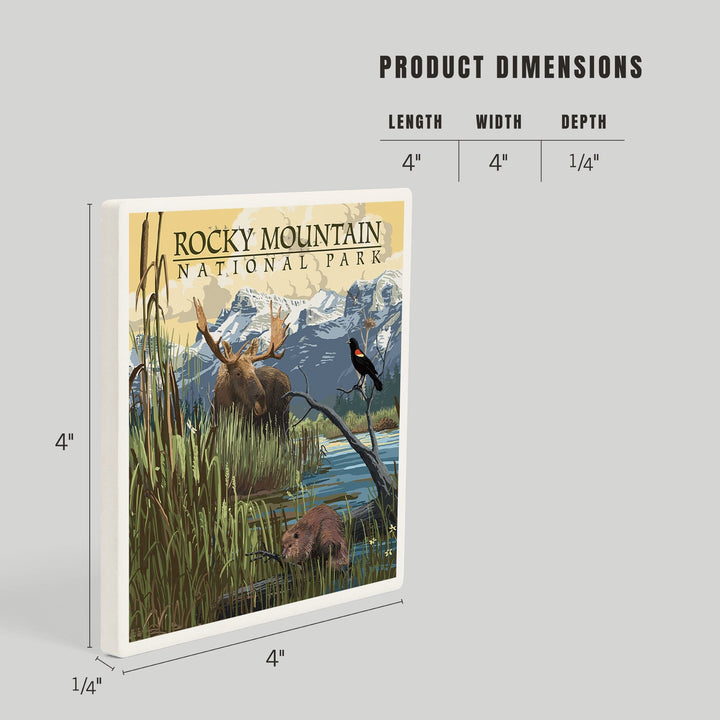 Rocky Mountain National Park, Mountain and Marsh Scene, Coasters Coasters Lantern Press 