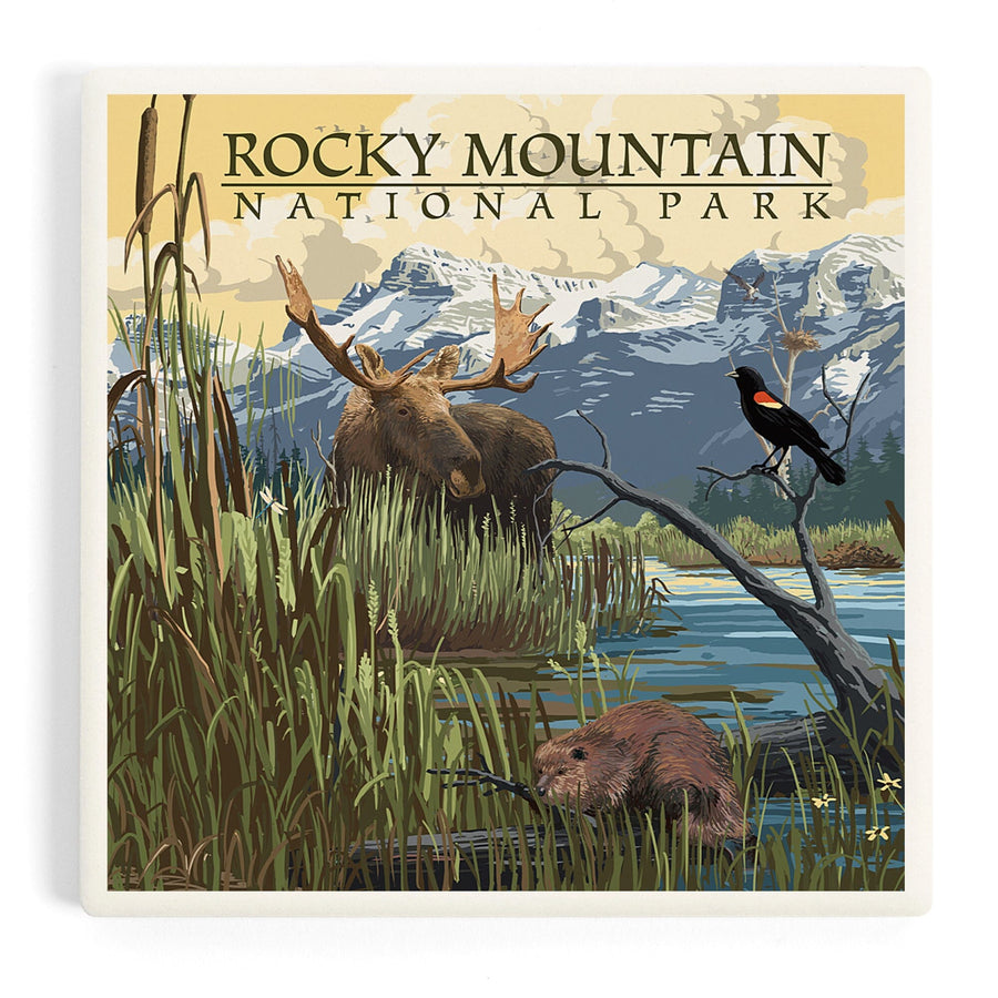 Rocky Mountain National Park, Mountain and Marsh Scene, Coasters Coasters Lantern Press 