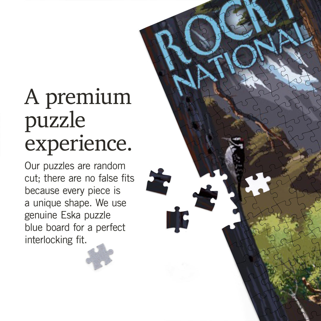 Rocky Mountain National Park, Wildlife Utopia, Jigsaw Puzzle Puzzle Lantern Press 