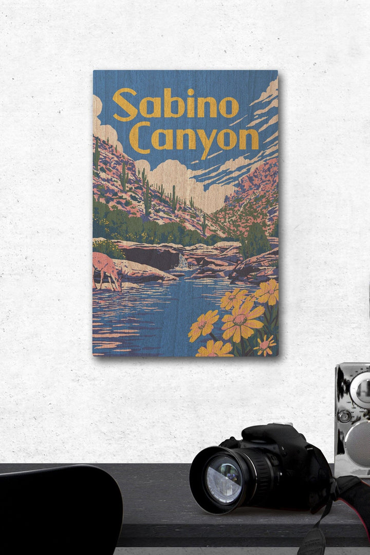 Sabino Canyon, Arizona, Explorer Series, Lantern Press Artwork, Wood Signs and Postcards Wood Lantern Press 12 x 18 Wood Gallery Print 