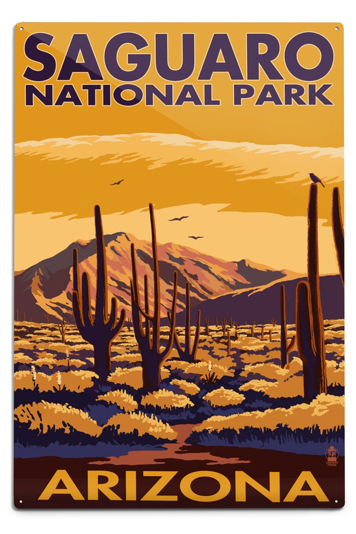 Saguaro National Park, Arizona, Metal Signs Metal Lantern Press 12x18 Metal Sign 