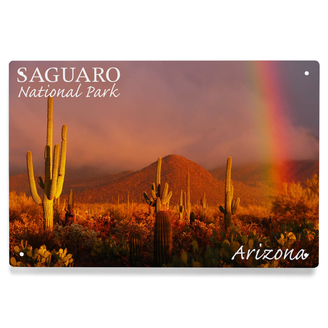 Saguaro National Park, Arizona, Rainbow, Metal Signs Metal Lantern Press 