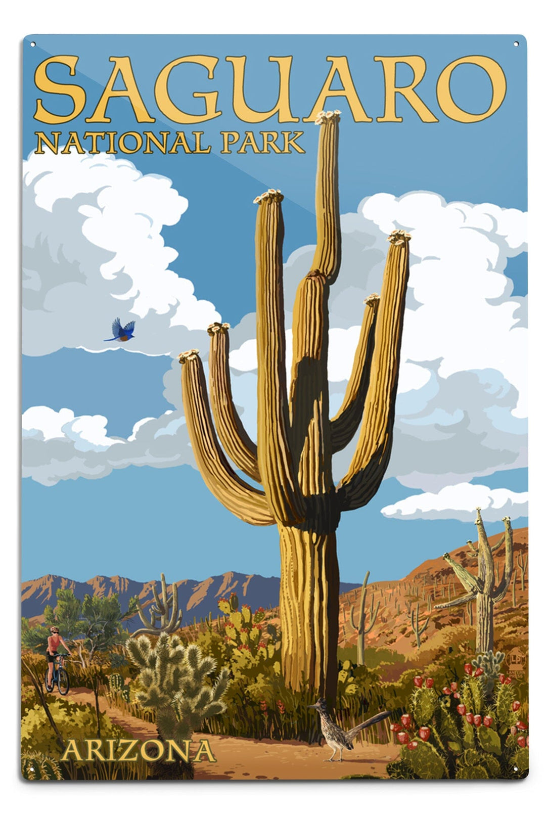 Saguaro National Park, Arizona, Trail, Metal Signs Metal Lantern Press 12x18 Metal Sign 