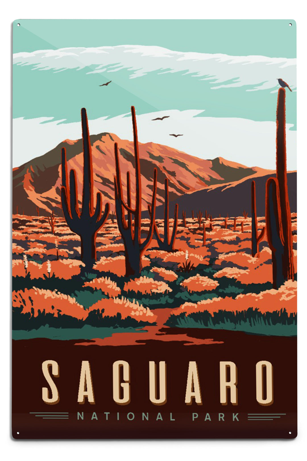 Saguaro National Park, Desert Scene with Cactus, Metal Signs Metal Lantern Press 12x18 Metal Sign 