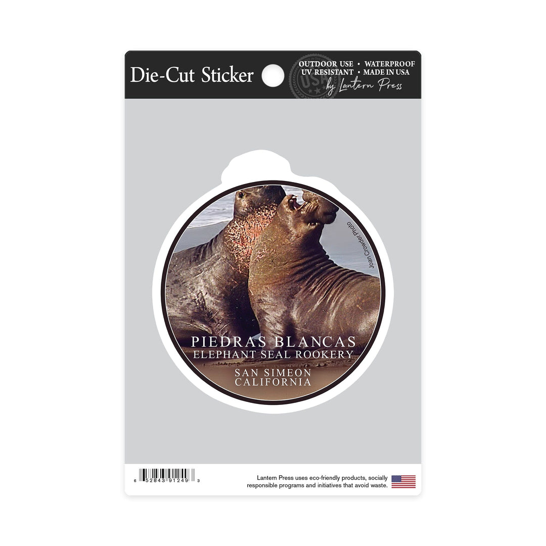 San Simeon, California, Piedras Blancas Elephant Seal Rookery, Contour, Photography Sticker Lantern Press 