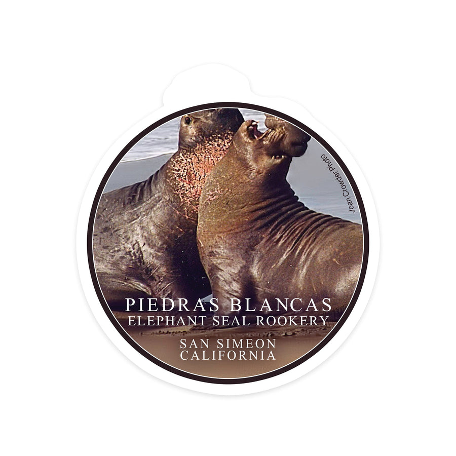 San Simeon, California, Piedras Blancas Elephant Seal Rookery, Contour, Photography Sticker Lantern Press 