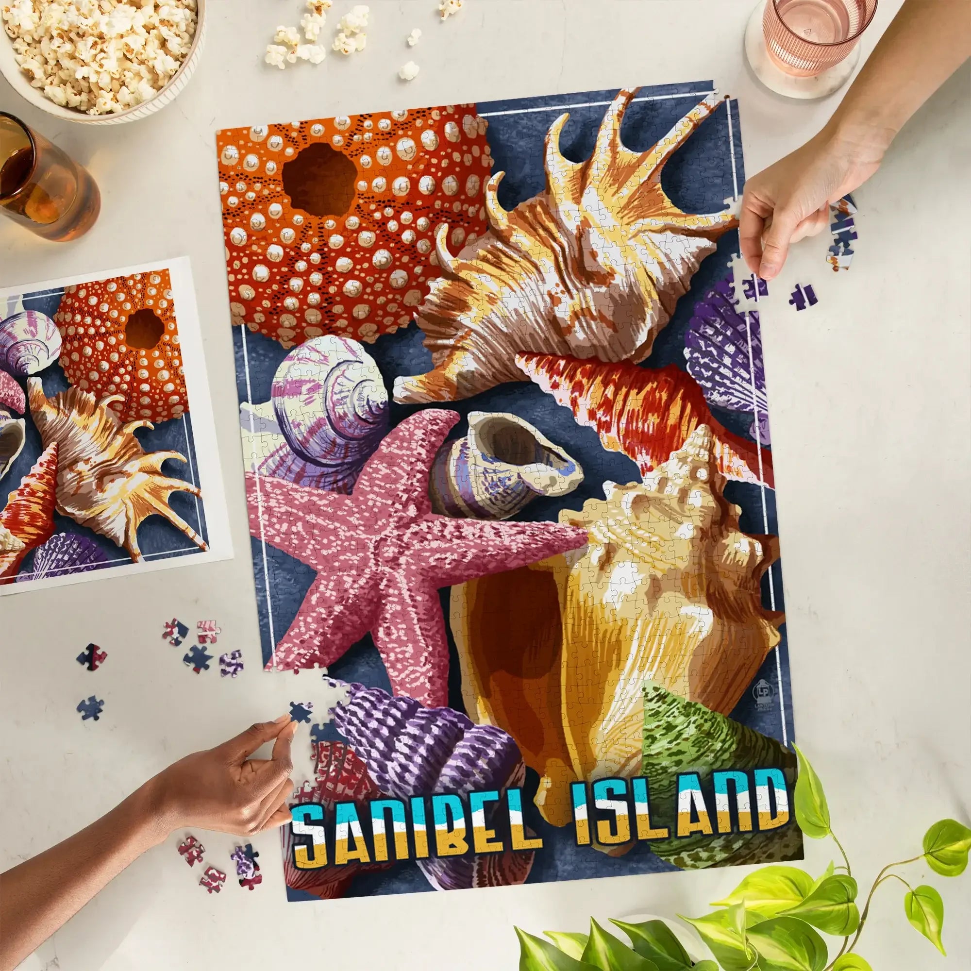 Sanibel Island, Florida, Shell Montage, 1000 piece jigsaw puzzle
