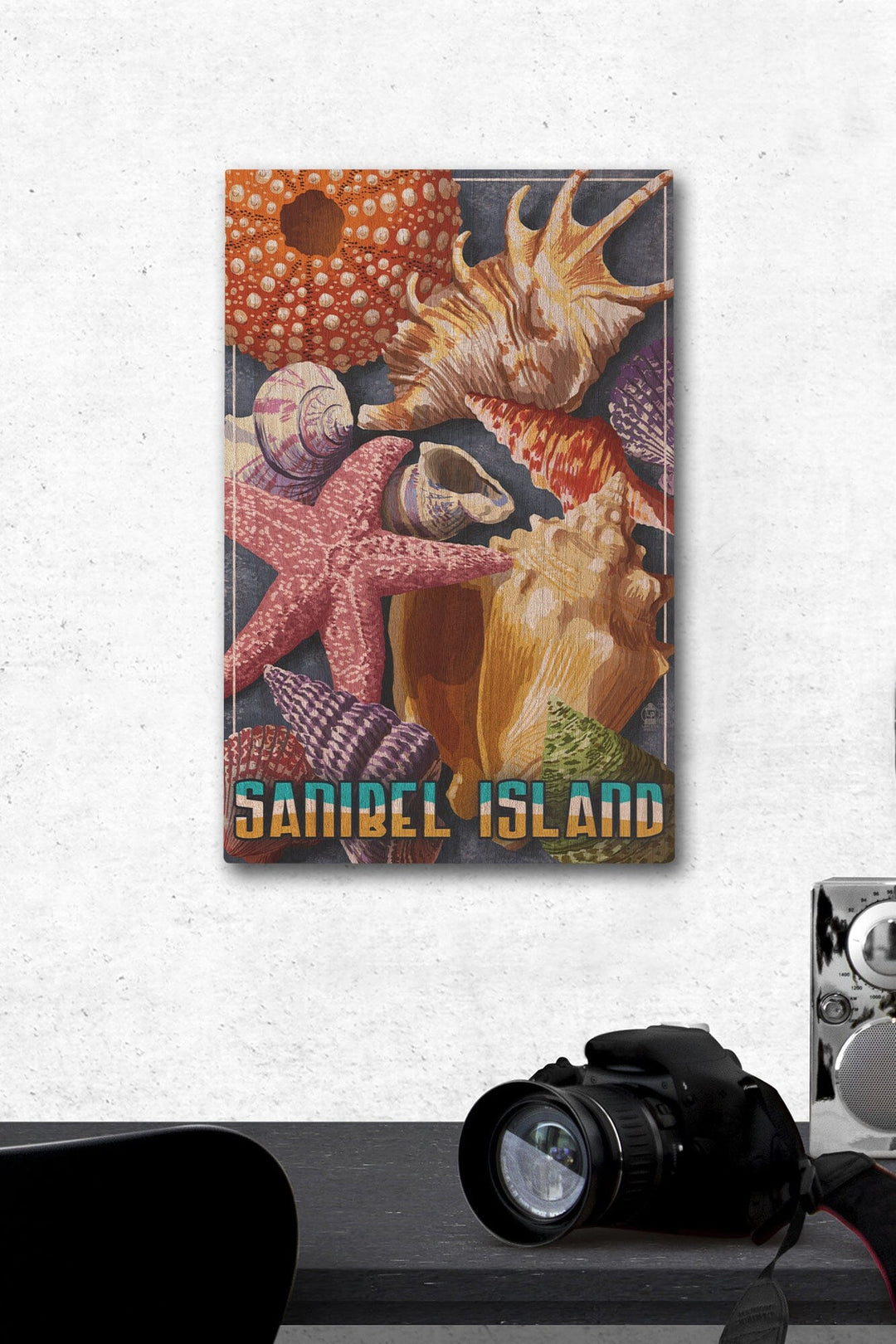 Sanibel Island, Florida, Shell Montage, Lantern Press Poster, Wood Signs and Postcards Wood Lantern Press 12 x 18 Wood Gallery Print 