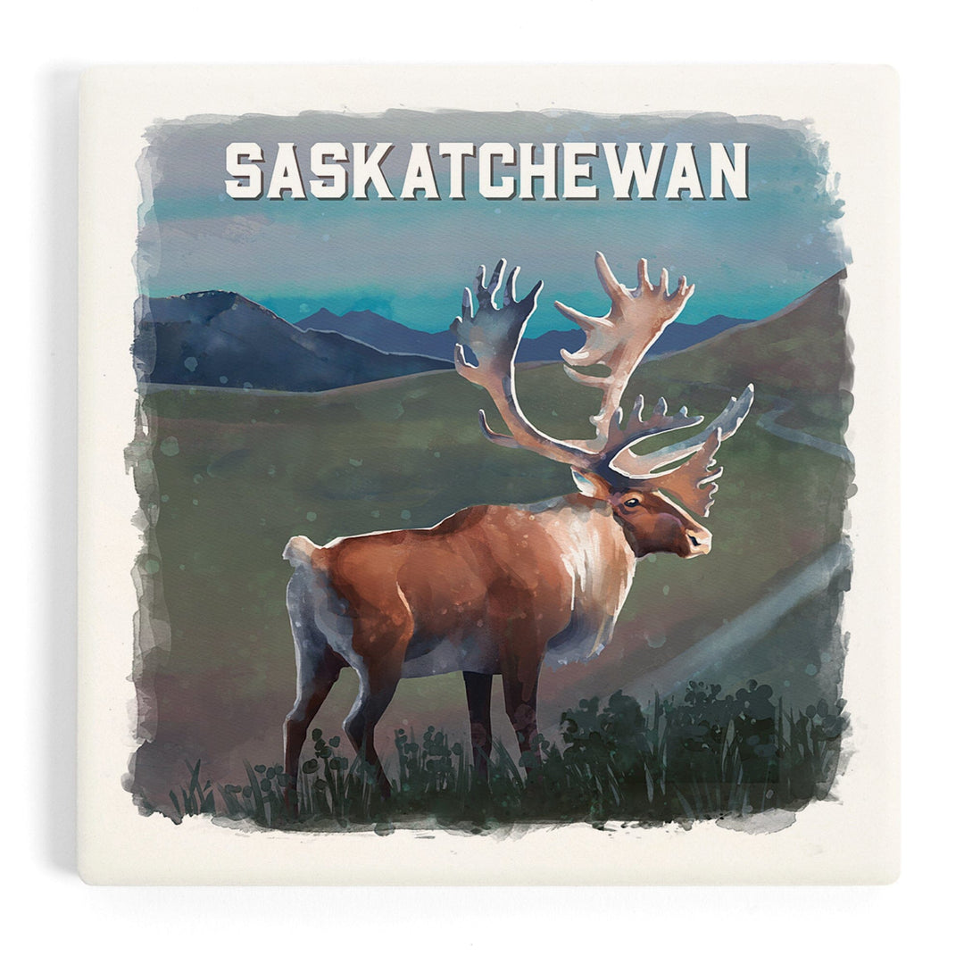 Saskatchewan, Watercolor Study, Caribou, Coasters Coasters Lantern Press Coaster 