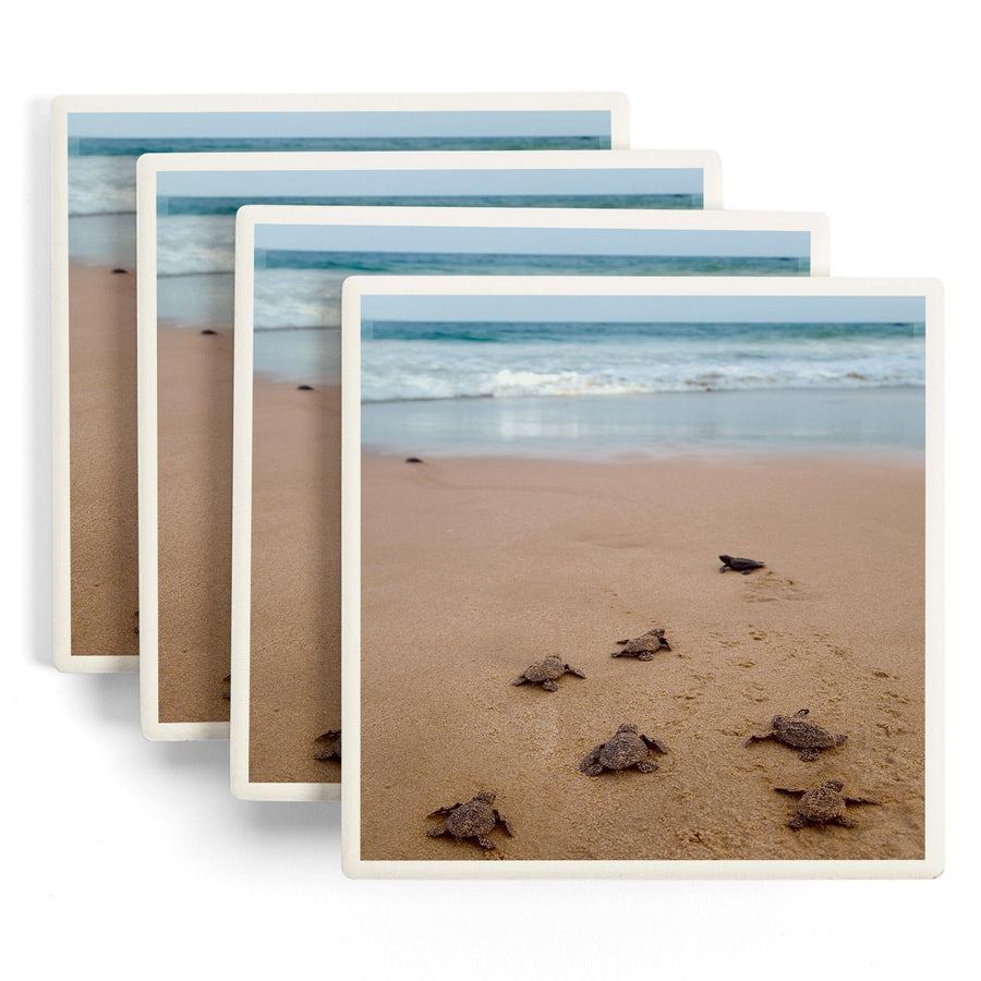 Sea Turtles Hatching, Lantern Press Photography, Coaster Set Coasters Lantern Press 