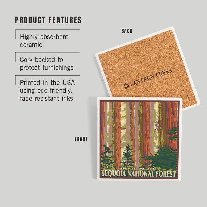 Sequoia National Forest, California, Redwood Trees, Coasters Coasters Lantern Press 