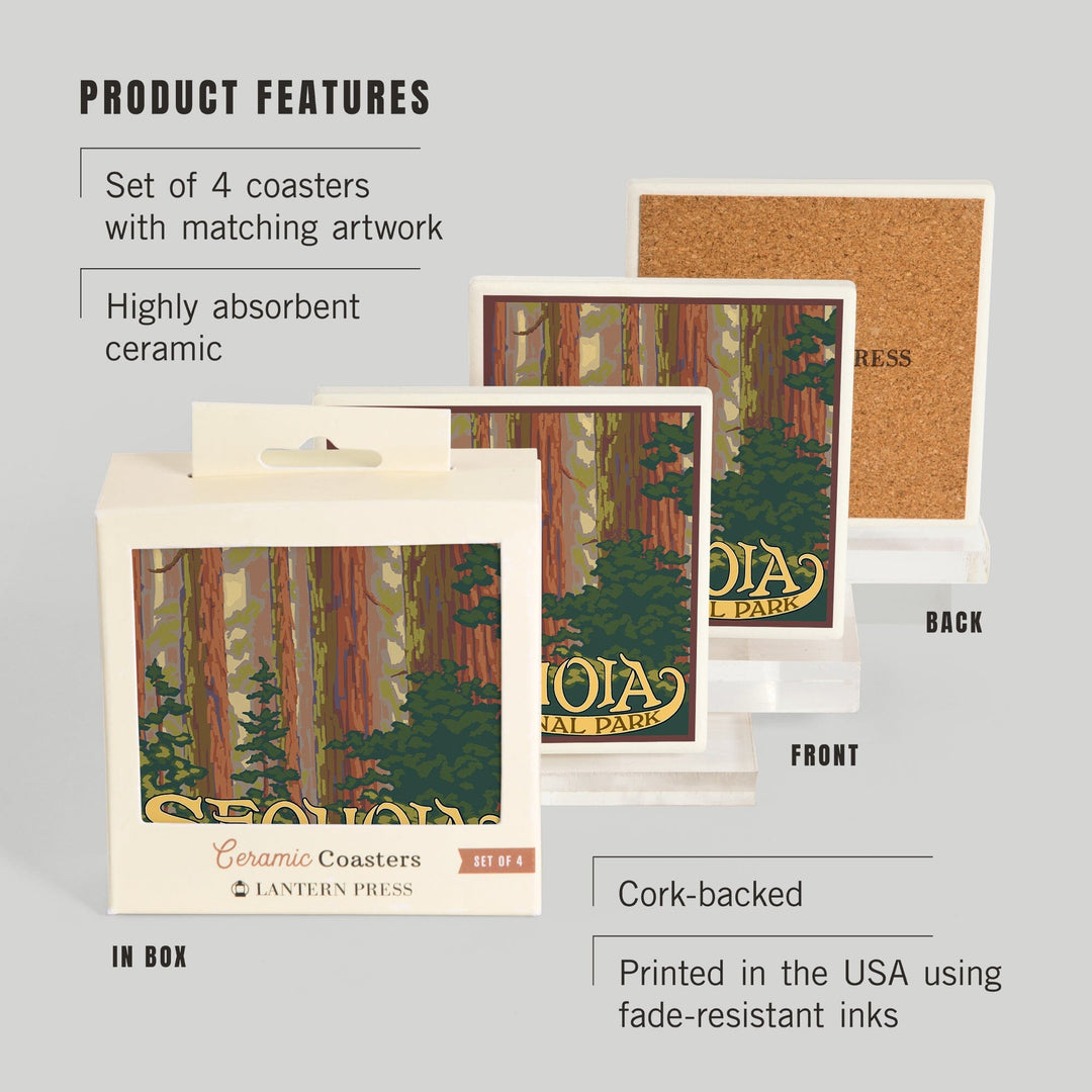 Sequoia National Park, California, Forest View, Coasters Coasters Lantern Press 