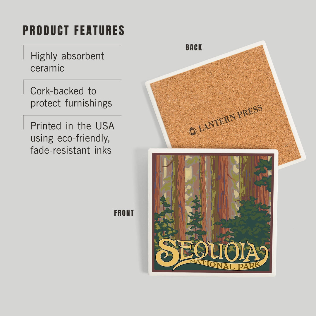Sequoia National Park, California, Forest View, Coasters Coasters Lantern Press 