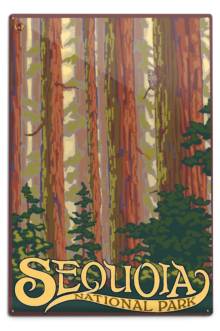 Sequoia National Park, California, Forest View, Metal Signs Metal Lantern Press 12x18 Metal Sign 